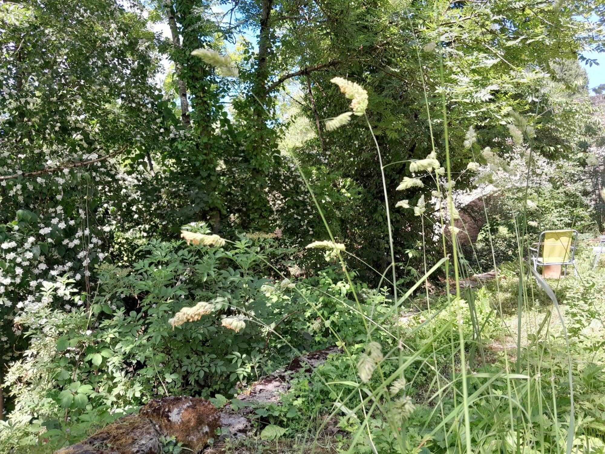 Appartement Privatif En Bord De Riviere Figeac Esterno foto